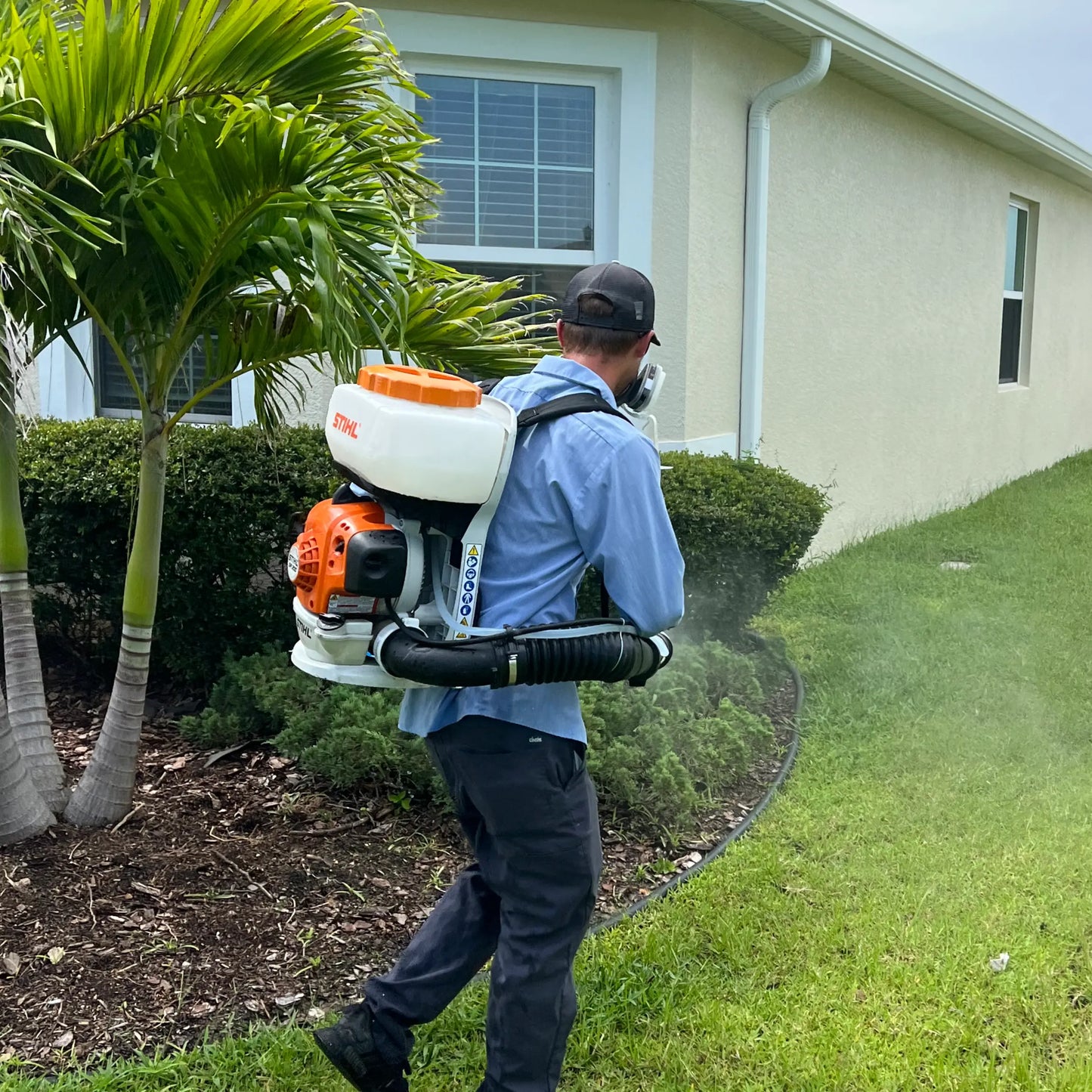 Mosquito Fogging Webenex Services Pest Control