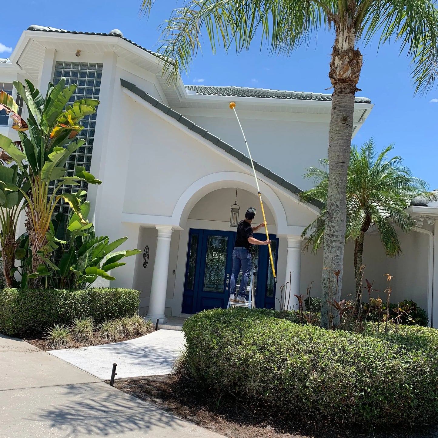 One Time Pest Control Service Webenex Services Pest Control