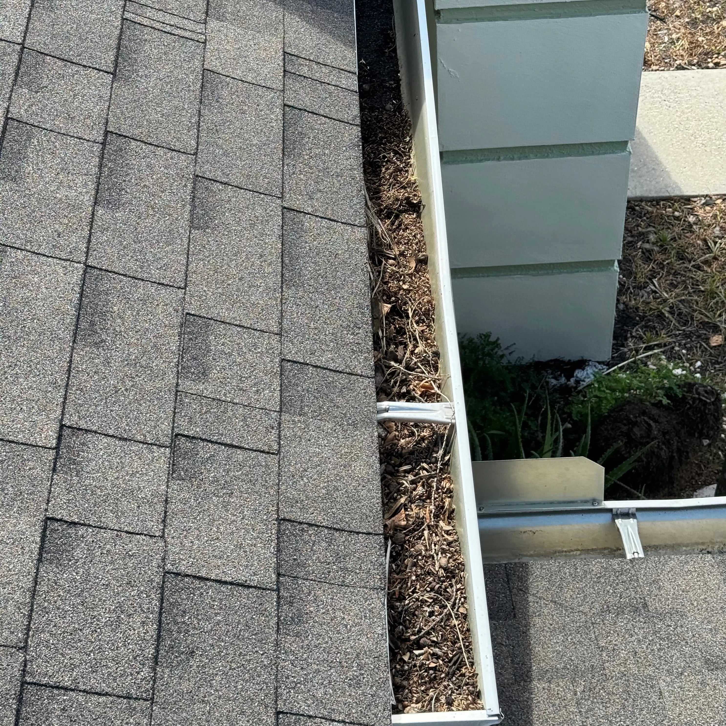 Gutter Cleaning Webenex Services Pest Control