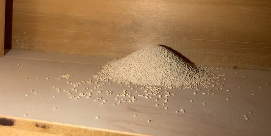 A pile of drywood termite frass on a shelf
