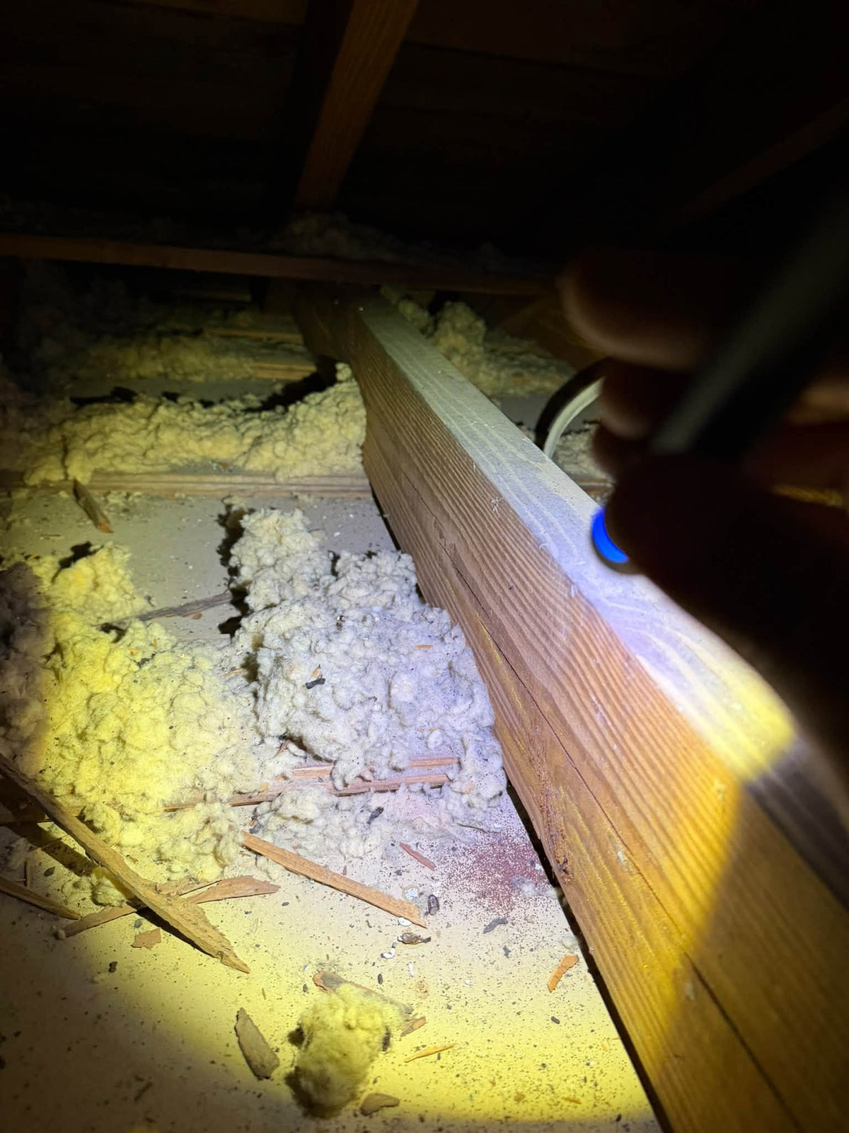 A Webenex technician's flashlight on old attic insulation and a joist in a 1930s Winter Garden home before an attic restoration