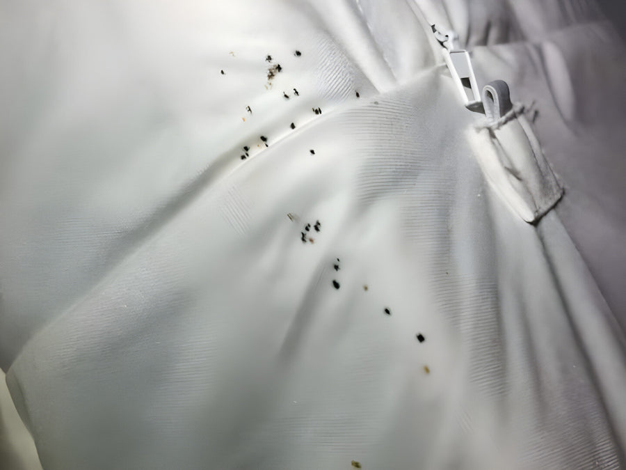 Bed bug specks lined up along the seam of a mattress cover, found by Webenex on a Central Florida job